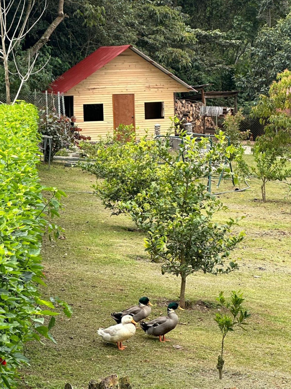 Hassinger Ranch Cabanas Оксапампа Екстериор снимка